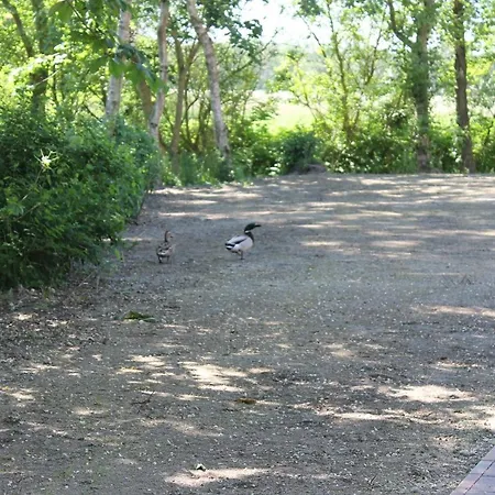 4 Im Boehler Haubarg סנט פטר-אורדינג